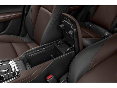 2020 Mazda Mazda CX-30 Premium Package