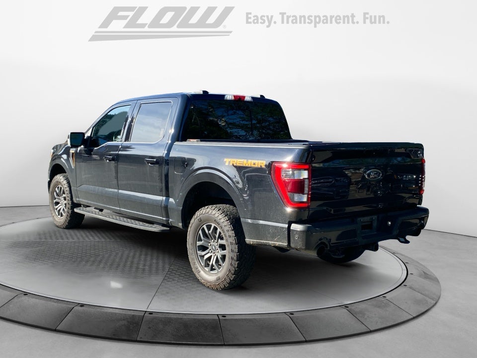 2021 Ford F-150 Tremor