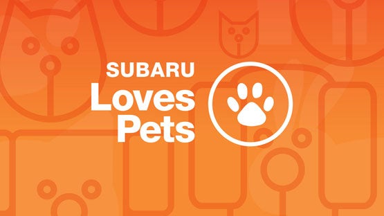 Flow Subaru Burlington in Burlington NC