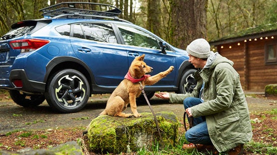 Flow Subaru Burlington in Burlington NC