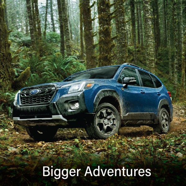 A blue Subaru outback wilderness with the words &ldquo;Bigger Adventures&ldquo;. | Flow Subaru Burlington in Burlington NC