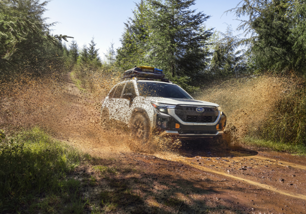 White Subaru Forester Wilderness driving down a dirt part. Mud is splashing up next to the SUV