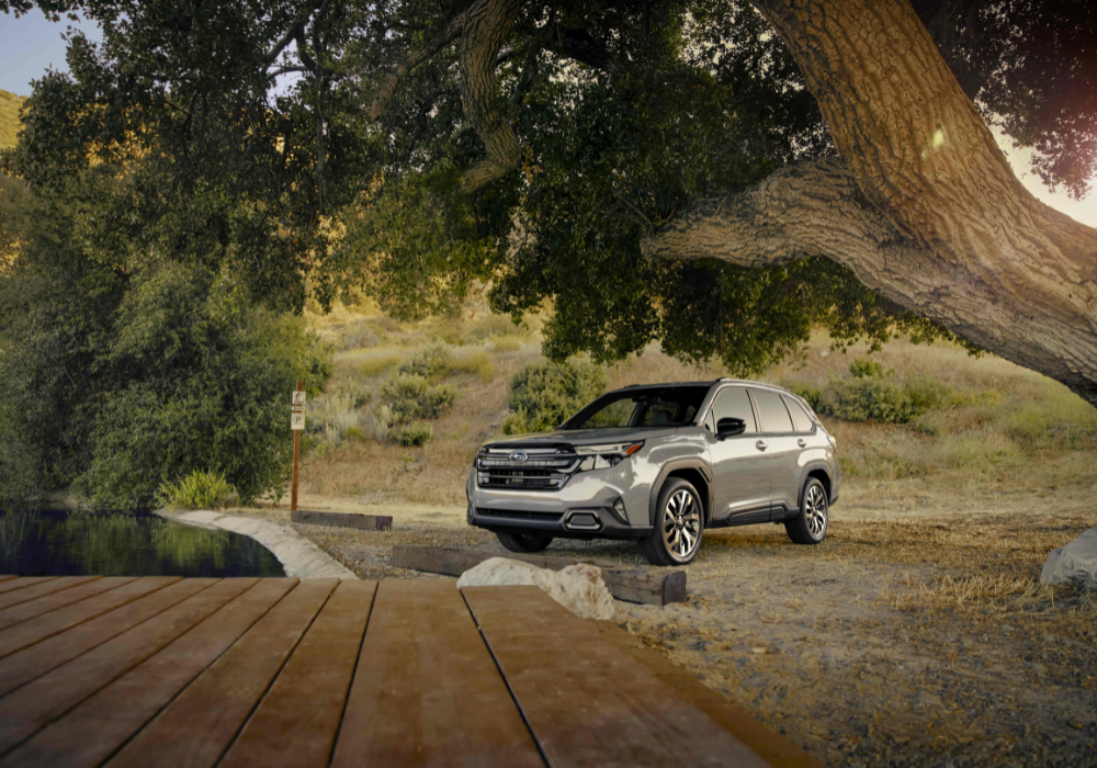 Silver Subaru Forester parked facing a body of a water and a dock