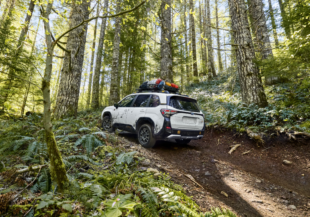 Subaru Forester Wilderness driving up an inclinde in teh forest. There are camping items attached to the roof rack of the car
